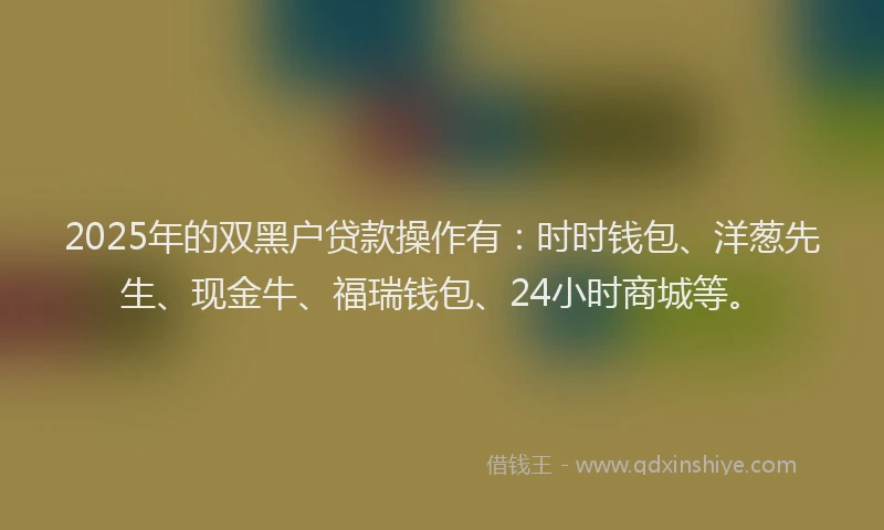 2025年的双黑户贷款操作有：时时钱包、洋葱先生、现金牛、福瑞钱包、24小时商城等。