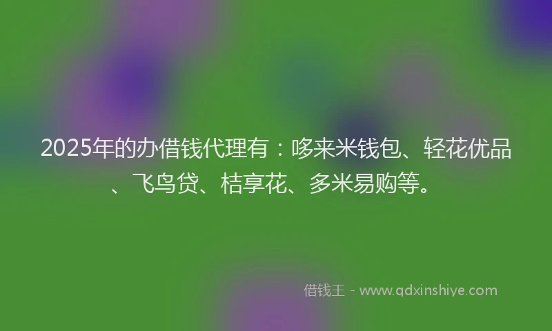 2025年的办借钱代理有：哆来米钱包、轻花优品、飞鸟贷、桔享花、多米易购等。