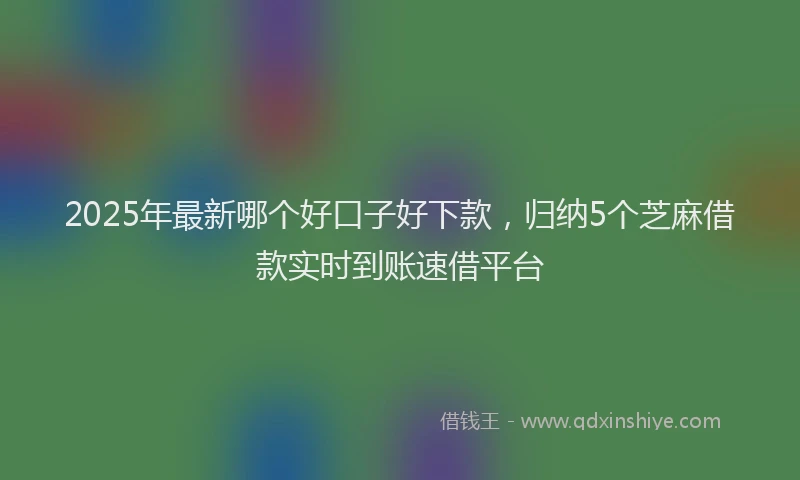 2025年最新哪个好口子好下款，归纳5个芝麻借款实时到账速借平台