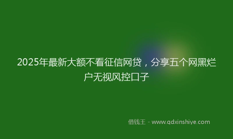 2025年最新大额不看征信网贷，分享五个网黑烂户无视风控口子