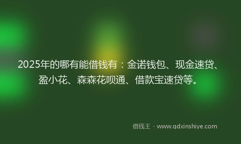 2025年的哪有能借钱有：金诺钱包、现金速贷、盈小花、森森花呗通、借款宝速贷等。
