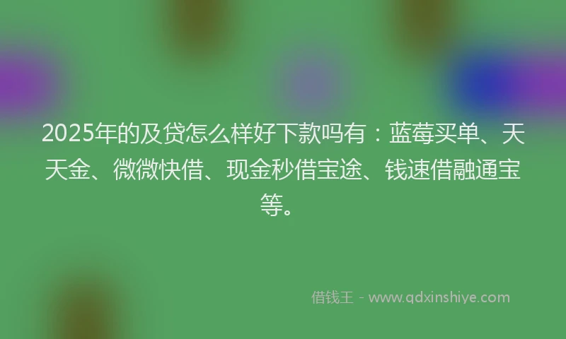 2025年的及贷怎么样好下款吗有：蓝莓买单、天天金、微微快借、现金秒借宝途、钱速借融通宝等。