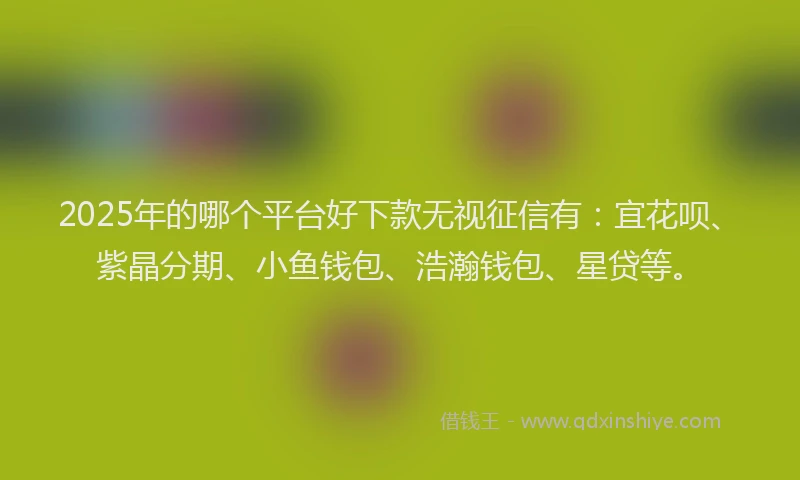 2025年的哪个平台好下款无视征信有：宜花呗、紫晶分期、小鱼钱包、浩瀚钱包、星贷等。