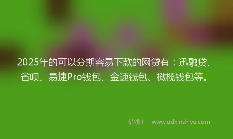 2025年的可以分期容易下款的网贷有：迅融贷、省呗、易捷Pro钱包、金速钱包、橄榄钱包等。