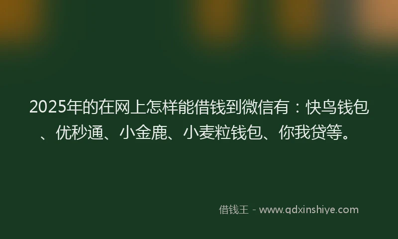 2025年的在网上怎样能借钱到微信有：快鸟钱包、优秒通、小金鹿、小麦粒钱包、你我贷等。