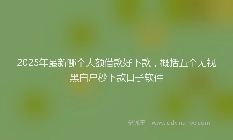2025年最新哪个大额借款好下款，概括五个无视黑白户秒下款口子软件