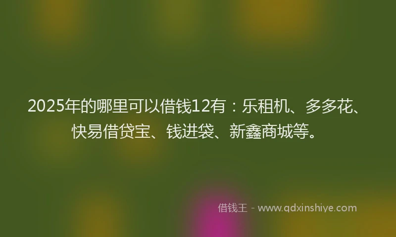 2025年的哪里可以借钱12有：乐租机、多多花、快易借贷宝、钱进袋、新鑫商城等。