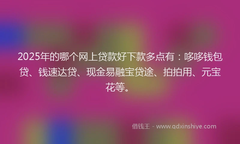 2025年的哪个网上贷款好下款多点有：哆哆钱包贷、钱速达贷、现金易融宝贷途、拍拍用、元宝花等。