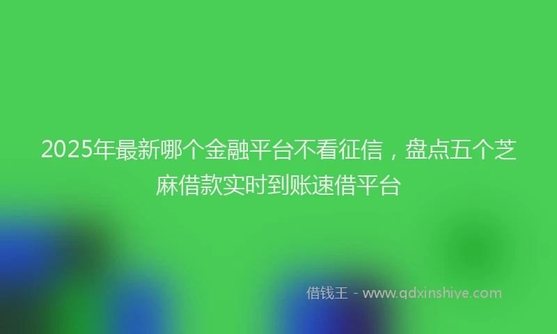 2025年最新哪个金融平台不看征信，盘点五个芝麻借款实时到账速借平台