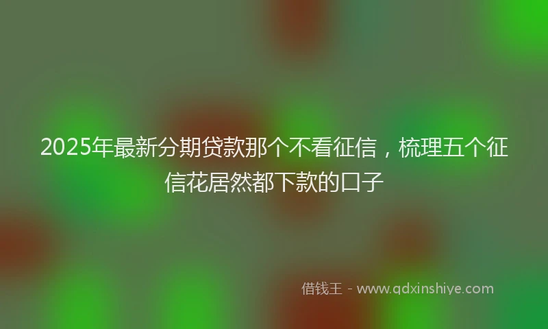2025年最新分期贷款那个不看征信，梳理五个征信花居然都下款的口子