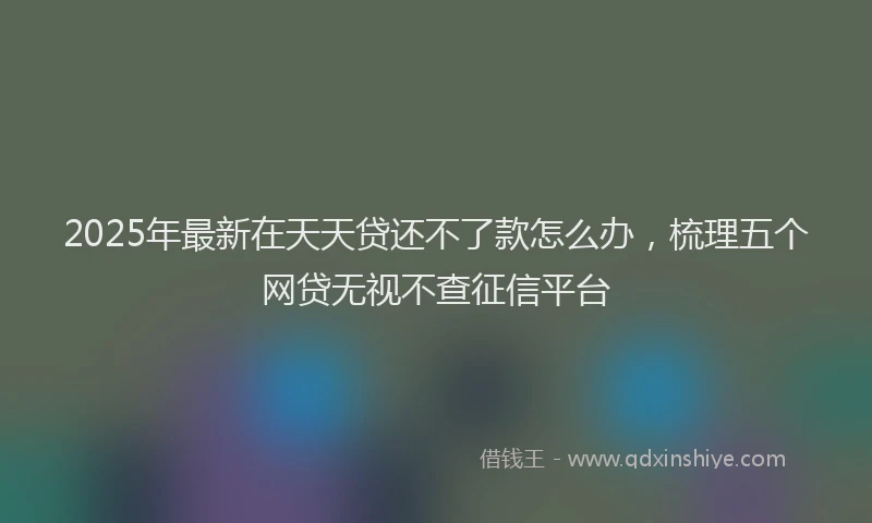 2025年最新在天天贷还不了款怎么办，梳理五个网贷无视不查征信平台