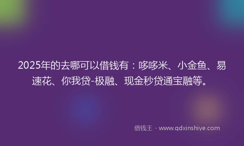 2025年的去哪可以借钱有：哆哆米、小金鱼、易速花、你我贷-极融、现金秒贷通宝融等。