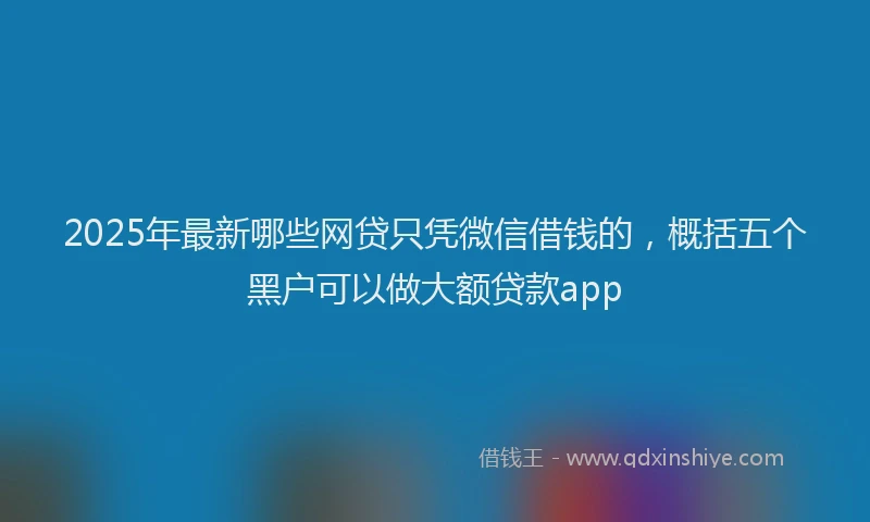 2025年最新哪些网贷只凭微信借钱的，概括五个黑户可以做大额贷款app