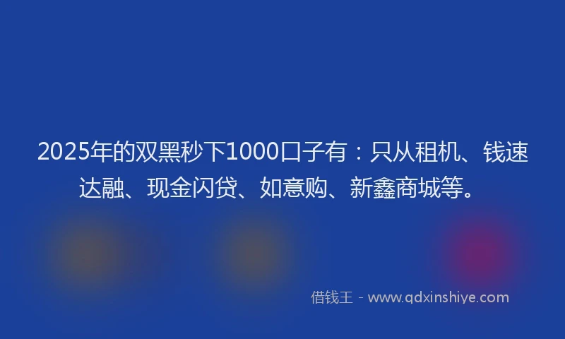 2025年的双黑秒下1000口子有：只从租机、钱速达融、现金闪贷、如意购、新鑫商城等。