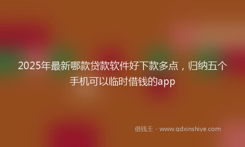 2025年最新哪款贷款软件好下款多点，归纳五个手机可以临时借钱的app