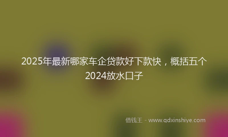 2025年最新哪家车企贷款好下款快，概括五个2024放水口子