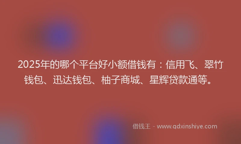2025年的哪个平台好小额借钱有：信用飞、翠竹钱包、迅达钱包、柚子商城、星辉贷款通等。