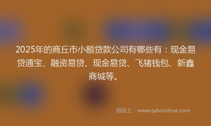 2025年的商丘市小额贷款公司有哪些有：现金易贷通宝、融资易贷、现金易贷、飞猪钱包、新鑫商城等。