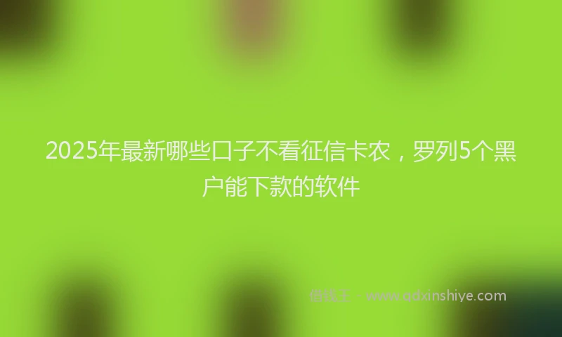 2025年最新哪些口子不看征信卡农，罗列5个黑户能下款的软件