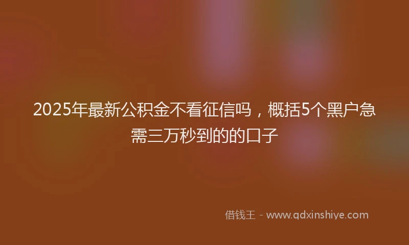 2025年最新公积金不看征信吗，概括5个黑户急需三万秒到的的口子