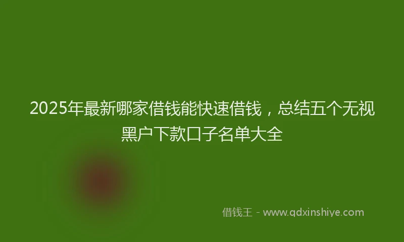 2025年最新哪家借钱能快速借钱，总结五个无视黑户下款口子名单大全