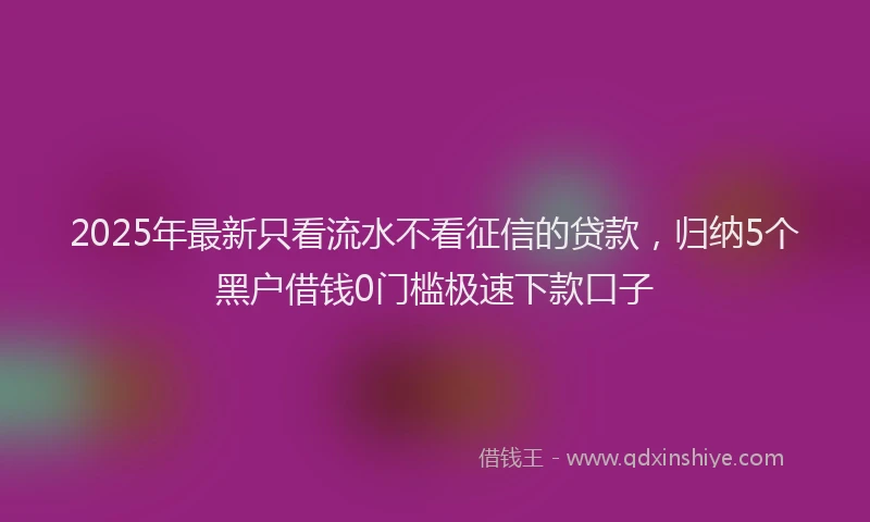 2025年最新只看流水不看征信的贷款，归纳5个黑户借钱0门槛极速下款口子