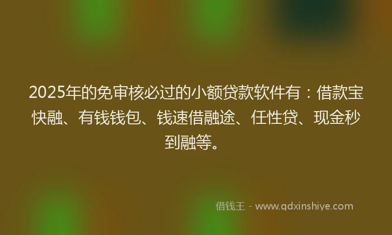 2025年的免审核必过的小额贷款软件有：借款宝快融、有钱钱包、钱速借融途、任性贷、现金秒到融等。