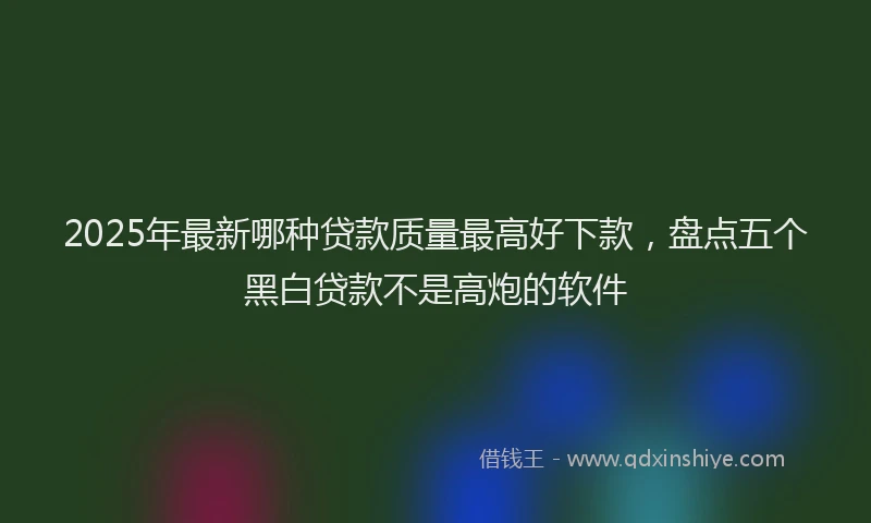 2025年最新哪种贷款质量最高好下款，盘点五个黑白贷款不是高炮的软件