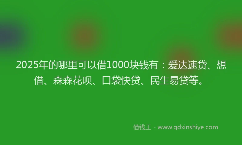 2025年的哪里可以借1000块钱有：爱达速贷、想借、森森花呗、口袋快贷、民生易贷等。