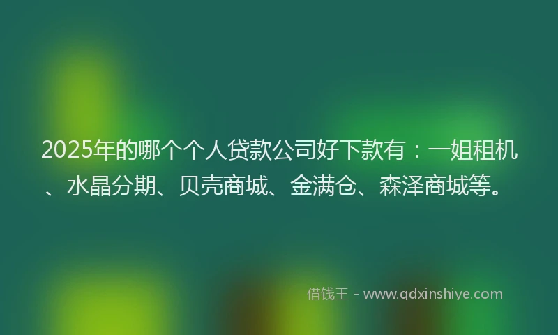 2025年的哪个个人贷款公司好下款有：一姐租机、水晶分期、贝壳商城、金满仓、森泽商城等。