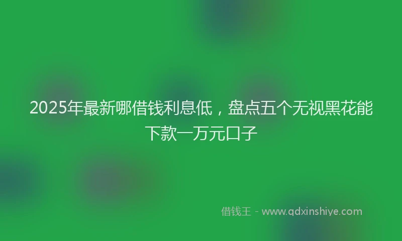 2025年最新哪借钱利息低，盘点五个无视黑花能下款一万元口子