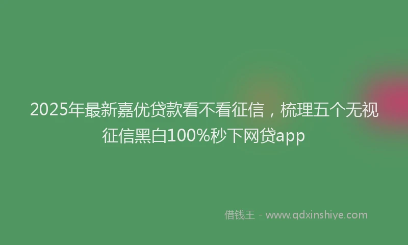 2025年最新嘉优贷款看不看征信，梳理五个无视征信黑白100%秒下网贷app