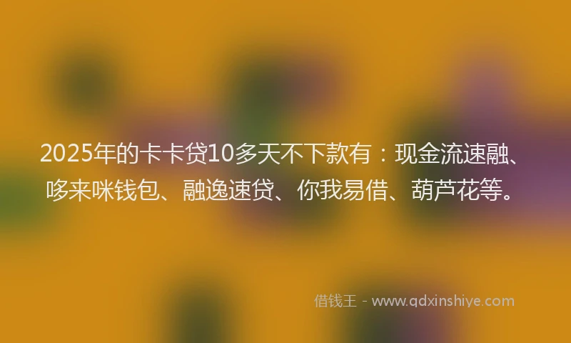 2025年的卡卡贷10多天不下款有：现金流速融、哆来咪钱包、融逸速贷、你我易借、葫芦花等。