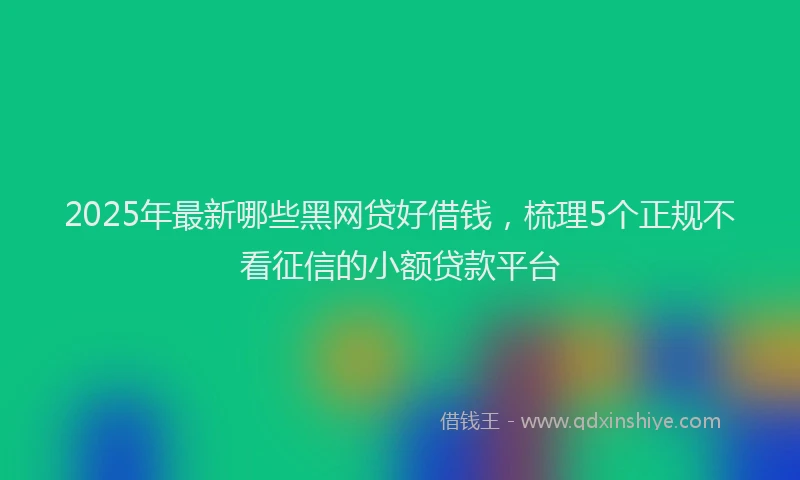 2025年最新哪些黑网贷好借钱，梳理5个正规不看征信的小额贷款平台