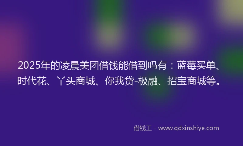 2025年的凌晨美团借钱能借到吗有：蓝莓买单、时代花、丫头商城、你我贷-极融、招宝商城等。