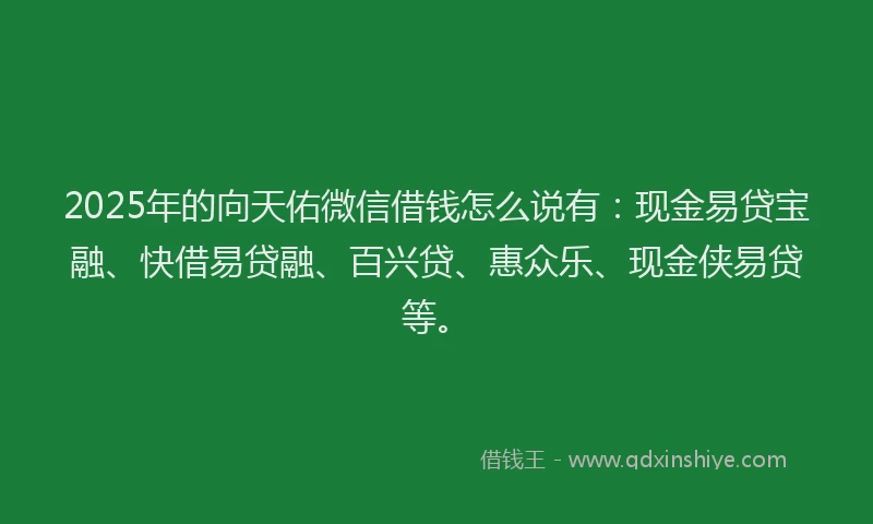2025年的向天佑微信借钱怎么说有：现金易贷宝融、快借易贷融、百兴贷、惠众乐、现金侠易贷等。