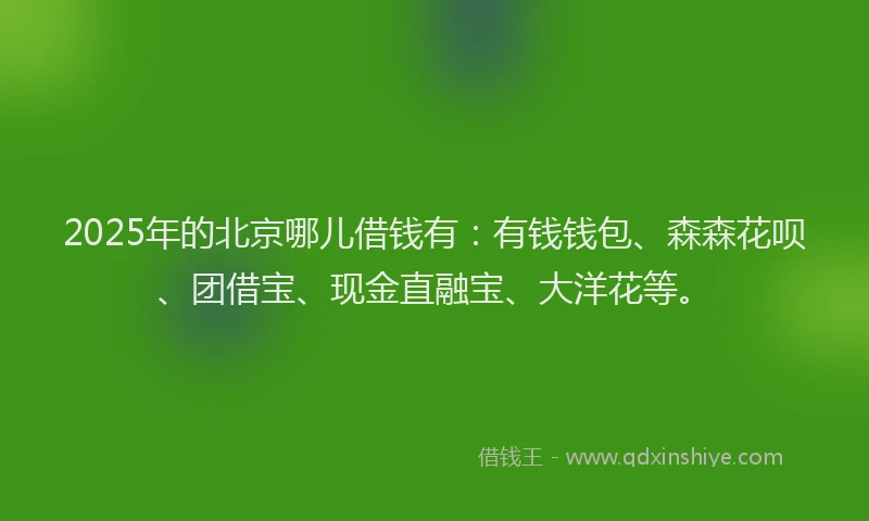 2025年的北京哪儿借钱有：有钱钱包、森森花呗、团借宝、现金直融宝、大洋花等。