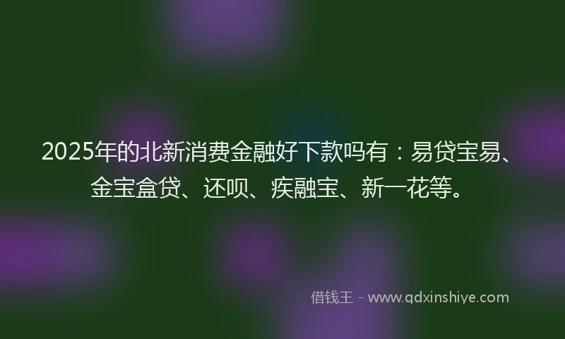 2025年的北新消费金融好下款吗有：易贷宝易、金宝盒贷、还呗、疾融宝、新一花等。