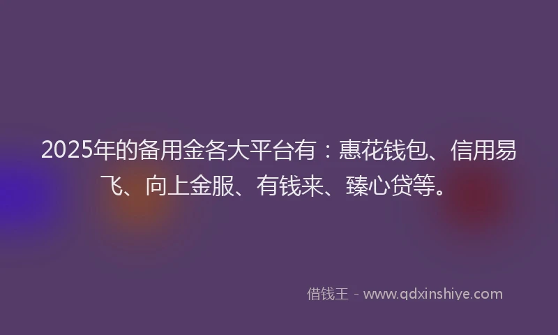 2025年的备用金各大平台有：惠花钱包、信用易飞、向上金服、有钱来、臻心贷等。