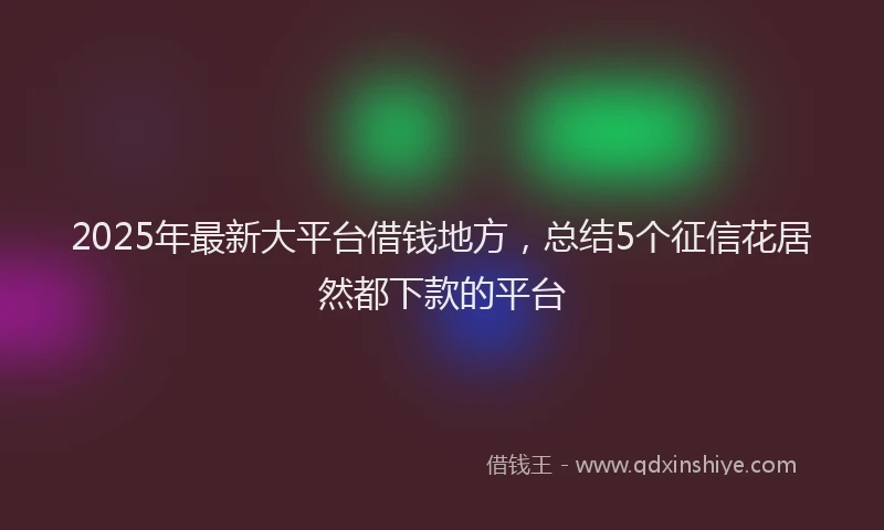 2025年最新大平台借钱地方，总结5个征信花居然都下款的平台