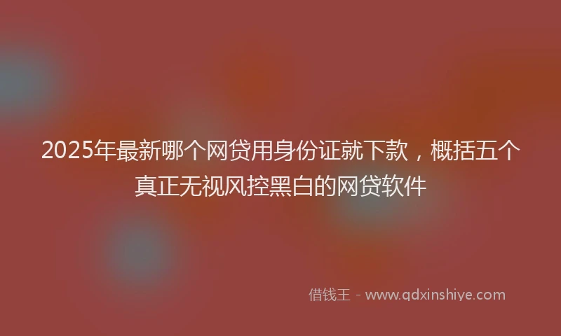 2025年最新哪个网贷用身份证就下款，概括五个真正无视风控黑白的网贷软件