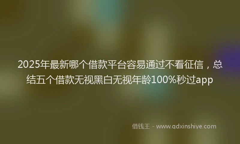 2025年最新哪个借款平台容易通过不看征信，总结五个借款无视黑白无视年龄100%秒过app