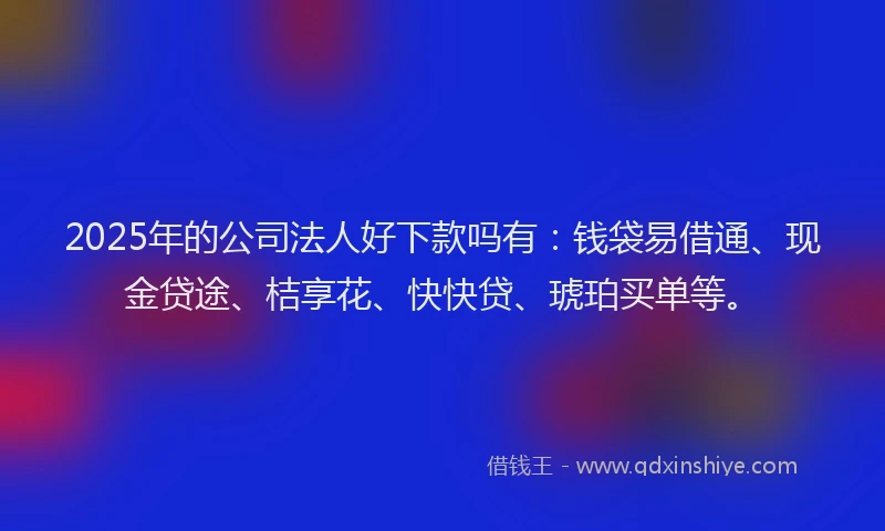 2025年的公司法人好下款吗有：钱袋易借通、现金贷途、桔享花、快快贷、琥珀买单等。