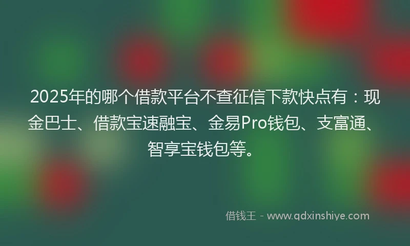 2025年的哪个借款平台不查征信下款快点有：现金巴士、借款宝速融宝、金易Pro钱包、支富通、智享宝钱包等。
