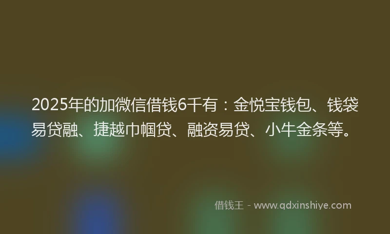 2025年的加微信借钱6千有：金悦宝钱包、钱袋易贷融、捷越巾帼贷、融资易贷、小牛金条等。