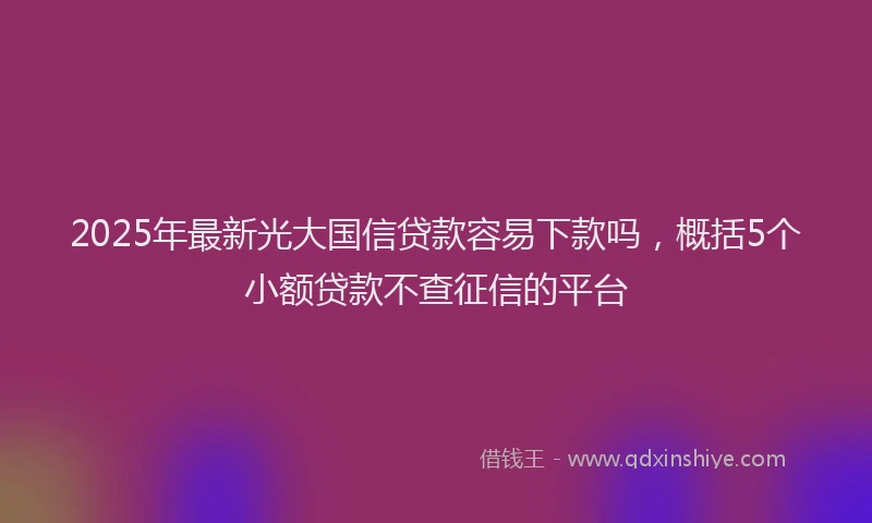 2025年最新光大国信贷款容易下款吗，概括5个小额贷款不查征信的平台