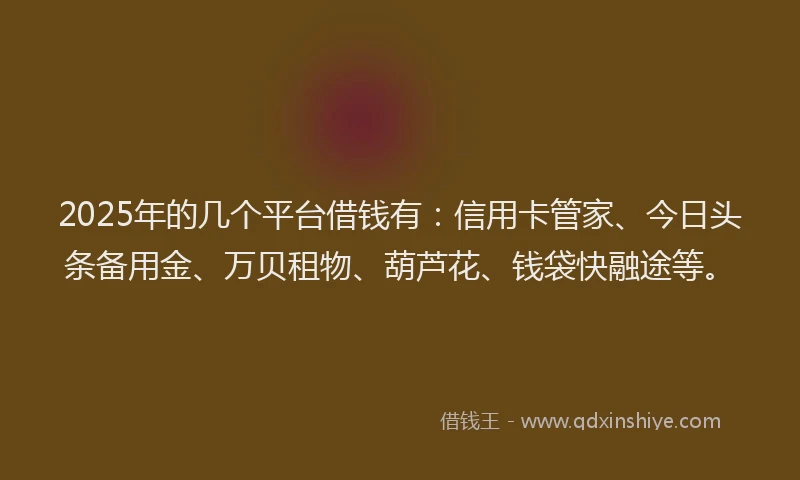 2025年的几个平台借钱有：信用卡管家、今日头条备用金、万贝租物、葫芦花、钱袋快融途等。