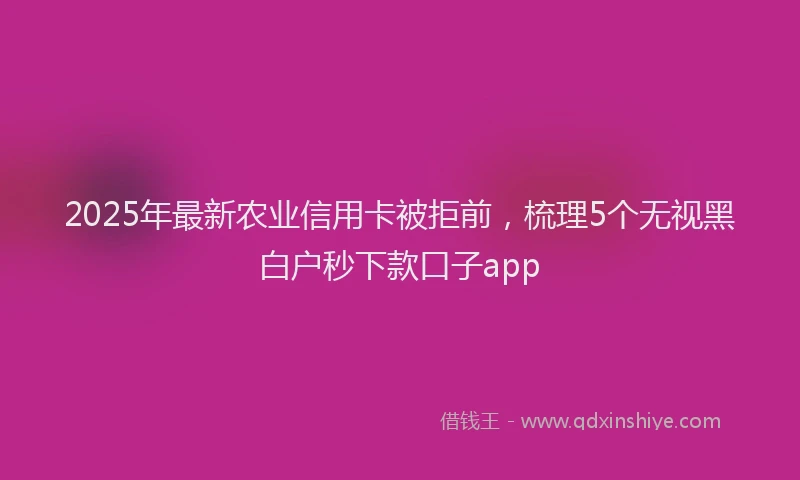 2025年最新农业信用卡被拒前，梳理5个无视黑白户秒下款口子app