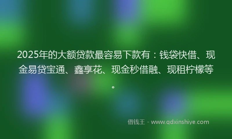 2025年的大额贷款最容易下款有：钱袋快借、现金易贷宝通、鑫享花、现金秒借融、现租柠檬等。
