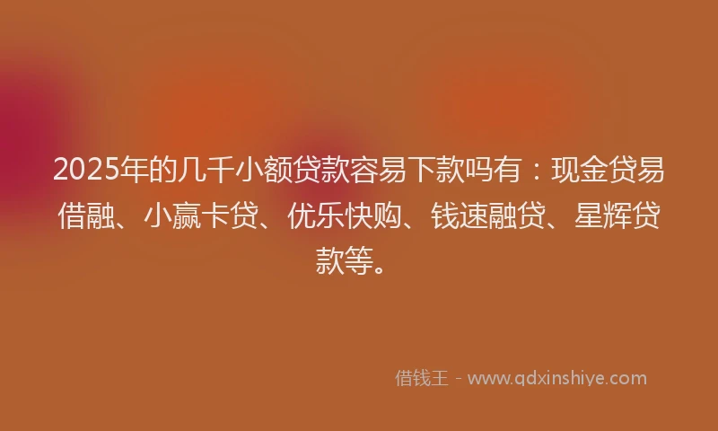 2025年的几千小额贷款容易下款吗有：现金贷易借融、小赢卡贷、优乐快购、钱速融贷、星辉贷款等。